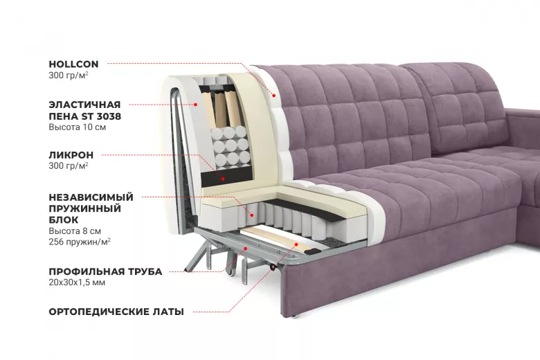 Купить Аккорд 6 GOYA DIMROSE
