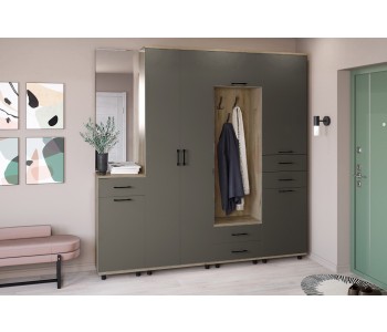 Прихожая Прейс-3