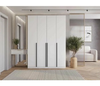 Шкаф-купе Вейрон Б