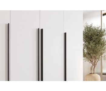 Шкаф Вейрон Б