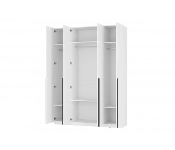 Шкаф-купе Вейрон Б